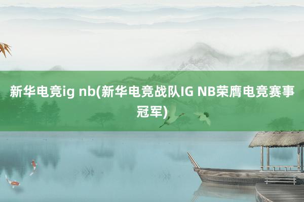 新华电竞ig nb(新华电竞战队IG NB荣膺电竞赛事冠军)