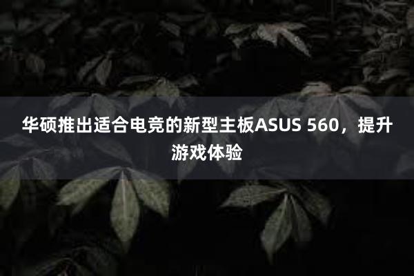 华硕推出适合电竞的新型主板ASUS 560，提升游戏体验