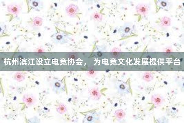 杭州滨江设立电竞协会， 为电竞文化发展提供平台